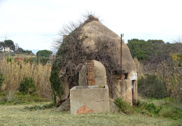 F Macià
