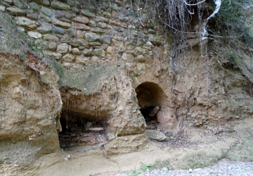 F Macià