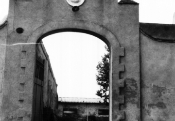 Teresa González. En: Calaix. Generalitat de Catalunya