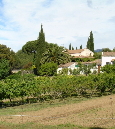 F Macià