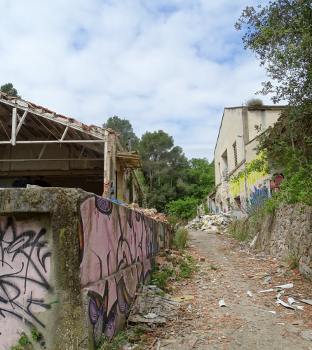F Macià