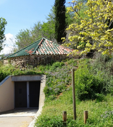 F Macià