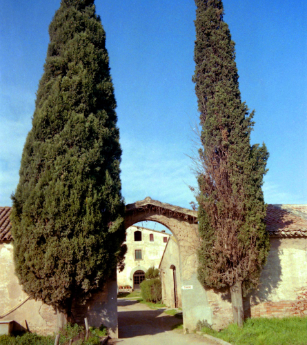 Arxiu Fotogràfic de la UES (Lluís Fernàndez)