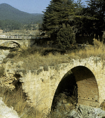 Arxiu Secció Natura UES (F Macià)