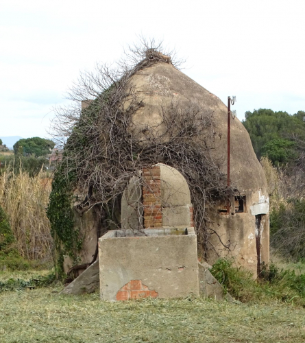 F Macià