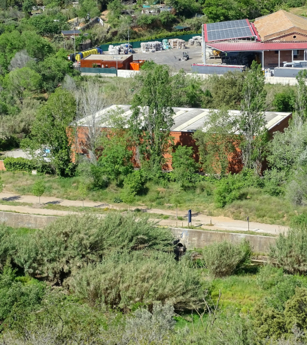 F Macià